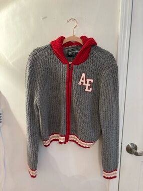 American Eagle Outfitters Gray Knit Sweater with Red Hood Trim